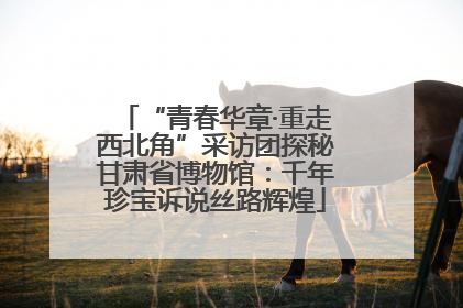“青春华章·重走西北角”采访团探秘甘肃省博物馆：千年珍宝诉说丝路辉煌