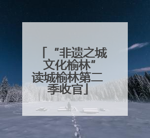 “非遗之城 文化榆林”读城榆林第二季收官