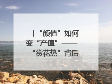 “颜值”如何变“产值”——“赏花热”背后的产业图谱