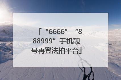 “6666”“888999”手机靓号再登法拍平台