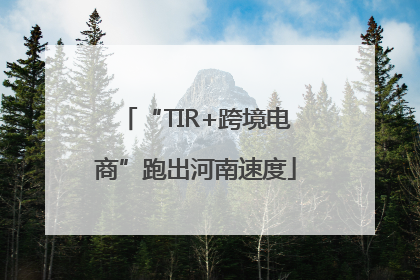 “TIR+跨境电商”跑出河南速度