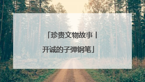 珍贵文物故事丨开诚的子弹钢笔