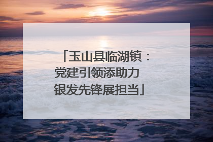 玉山县临湖镇：党建引领添助力 银发先锋展担当