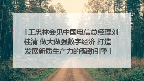 王忠林会见中国电信总经理刘桂清 做大做强数字经济 打造发展新质生产力的强劲引擎