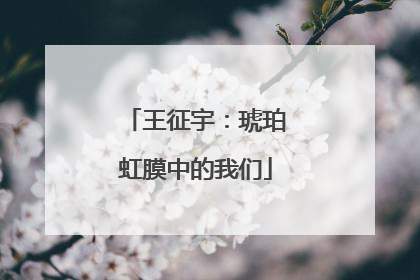 王征宇：琥珀虹膜中的我们