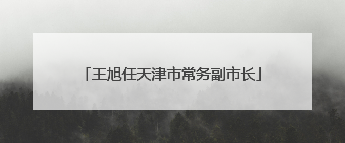 王旭任天津市常务副市长