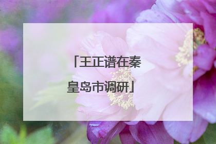 王正谱在秦皇岛市调研