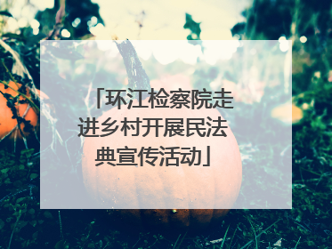 环江检察院走进乡村开展民法典宣传活动