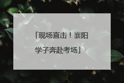 现场直击！襄阳学子奔赴考场