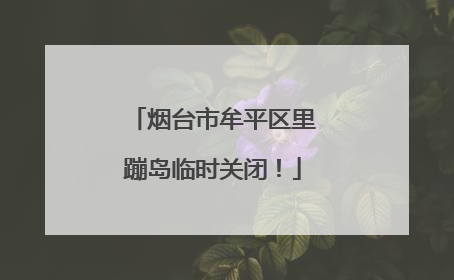 烟台市牟平区里蹦岛临时关闭！