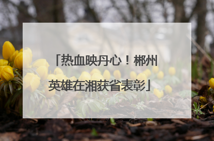 热血映丹心！郴州英雄在湘获省表彰