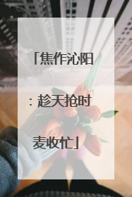 焦作沁阳：趁天抢时麦收忙