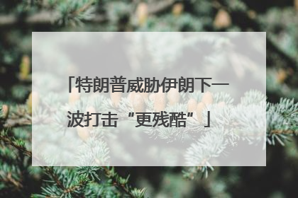 特朗普威胁伊朗下一波打击“更残酷”