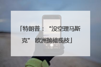 特朗普：“没空理马斯克” 欧洲抛橄榄枝