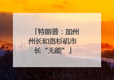 特朗普：加州州长和洛杉矶市长“无能”
