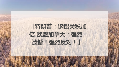 特朗普：钢铝关税加倍 欧盟加拿大：强烈遗憾！强烈反对！