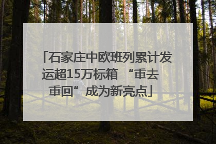 石家庄中欧班列累计发运超15万标箱 “重去重回”成为新亮点