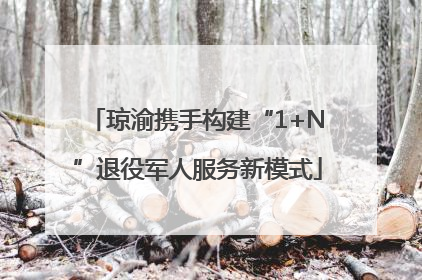 琼渝携手构建“1+N”退役军人服务新模式
