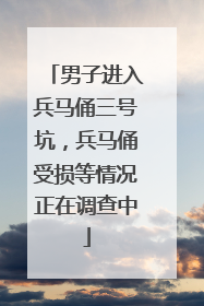 男子进入兵马俑三号坑，兵马俑受损等情况正在调查中