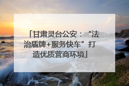 甘肃灵台公安：“法治盾牌+服务快车”打造优质营商环境