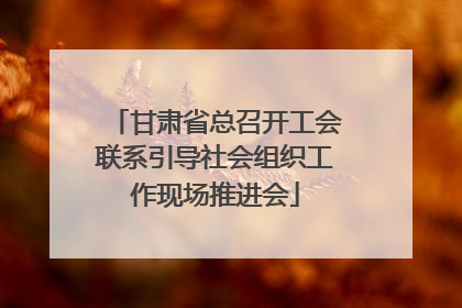 甘肃省总召开工会联系引导社会组织工作现场推进会