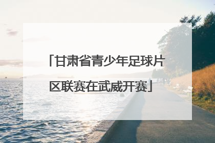 甘肃省青少年足球片区联赛在武威开赛