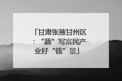 甘肃张掖甘州区：“蔬”写富民产业好“钱”景