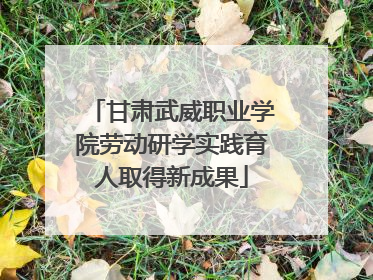 甘肃武威职业学院劳动研学实践育人取得新成果