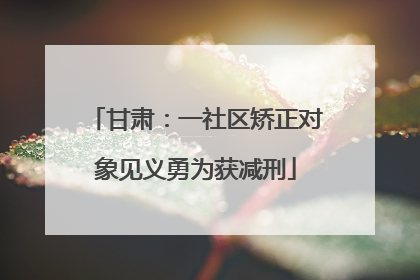甘肃：一社区矫正对象见义勇为获减刑