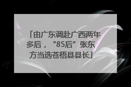 由广东调赴广西两年多后，“85后”张东方当选苍梧县县长