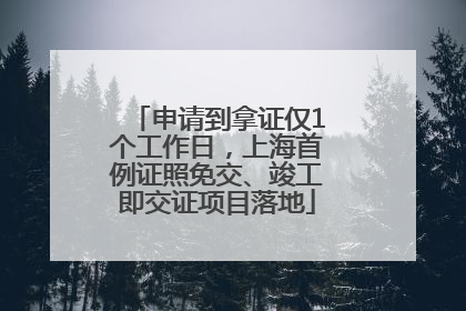 申请到拿证仅1个工作日，上海首例证照免交、竣工即交证项目落地