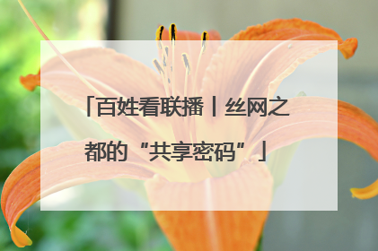 百姓看联播丨丝网之都的“共享密码”