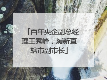 百年央企副总经理王秀峰，履新直辖市副市长