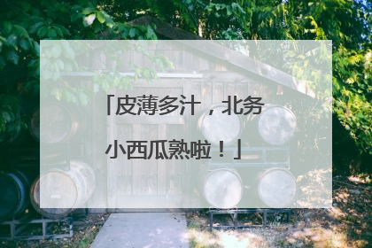 皮薄多汁，北务小西瓜熟啦！