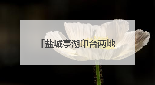盐城亭湖印台两地心连心 志愿者跨越千里暖护困境学童