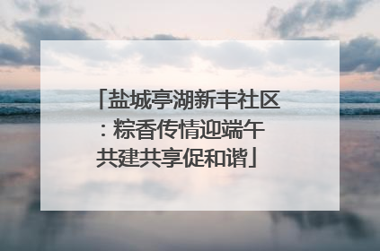 盐城亭湖新丰社区：粽香传情迎端午 共建共享促和谐