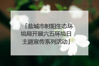 盐城市射阳生态环境局开展六五环境日主题宣传系列活动