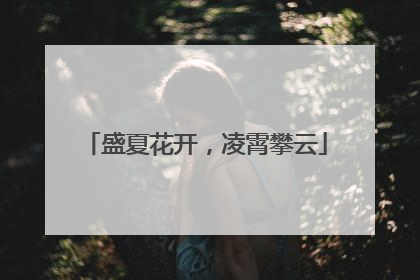 盛夏花开，凌霄攀云