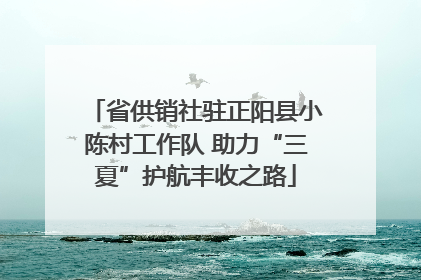 省供销社驻正阳县小陈村工作队 助力“三夏”护航丰收之路