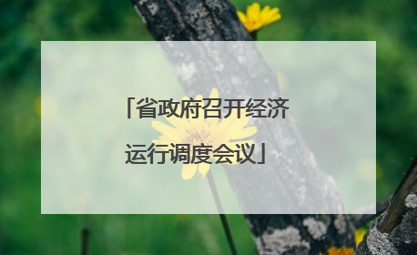 省政府召开经济运行调度会议