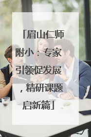 眉山仁师附小：专家引领促发展，精研课题启新篇
