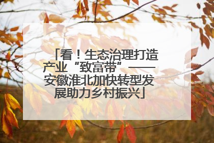 看！生态治理打造产业“致富带”——安徽淮北加快转型发展助力乡村振兴