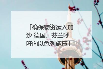 确保物资运入加沙 德国、芬兰呼吁向以色列施压
