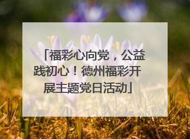 福彩心向党，公益践初心！德州福彩开展主题党日活动