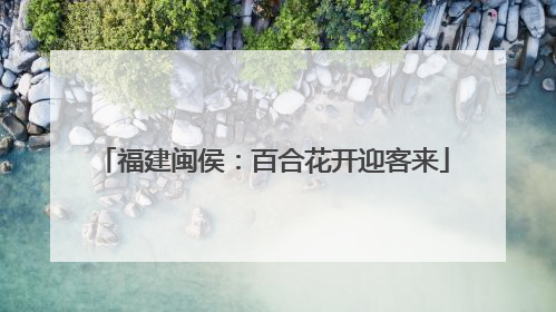 福建闽侯:百合花开迎客来