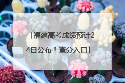 福建高考成绩预计24日公布！查分入口
