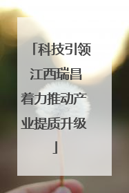 科技引领 江西瑞昌着力推动产业提质升级