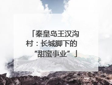 秦皇岛王汉沟村：长城脚下的“甜蜜事业”