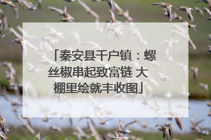 秦安县千户镇：螺丝椒串起致富链 大棚里绘就丰收图