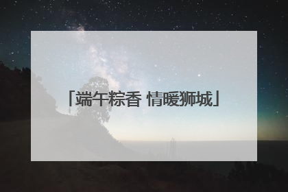 端午粽香 情暖狮城
